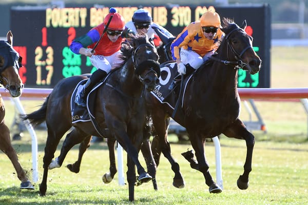 Solidify stamps his mark at Taupo