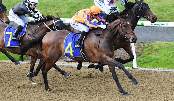 Stonybreck claims synthetic feature