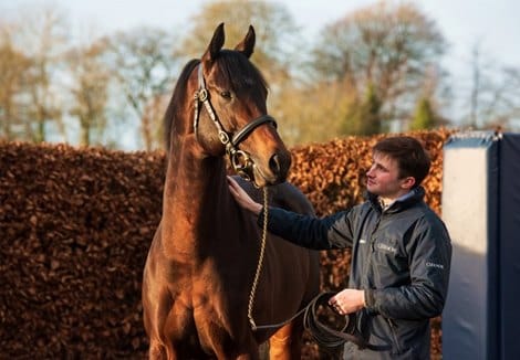 First Black Type winner for Ten Sovereigns