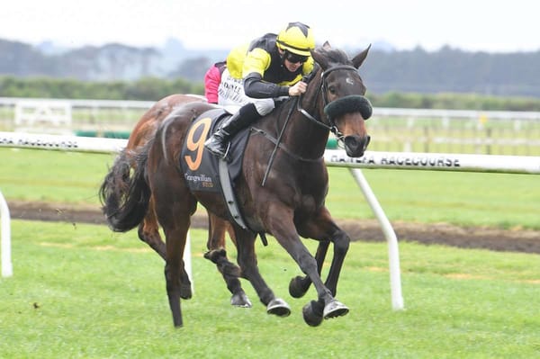 The Dutch Dame gets deserved win