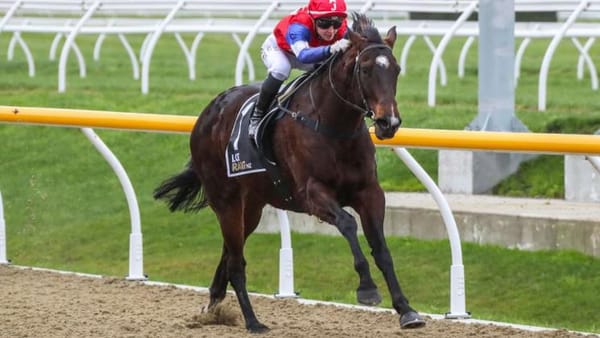 Watch Out looking to add to winning tally