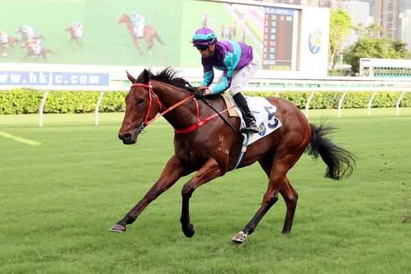 Vincent Ho resumes with high hopes for Dream Winner