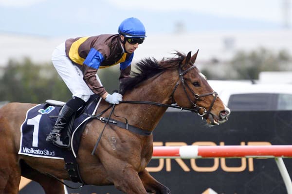 Nelson/McDougal seeking elusive crown