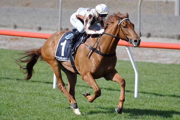 Adam posts dominant Matamata win