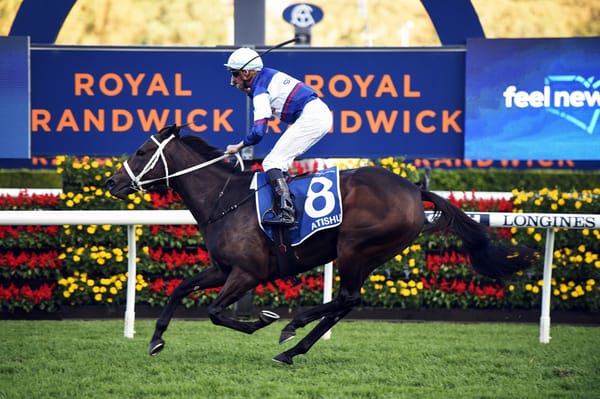 Go Racing’s Queen set to resume