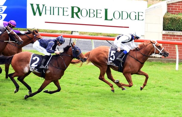 2022-23 South Island Racing Awards Winners