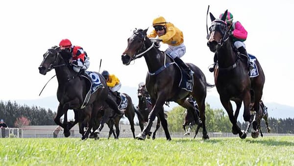 Danjuro to benefit from southern campaign