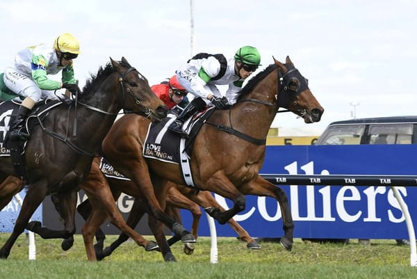 Dimaggio holds on for gritty win