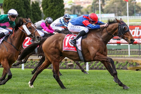 Tough staying win for Donatrice