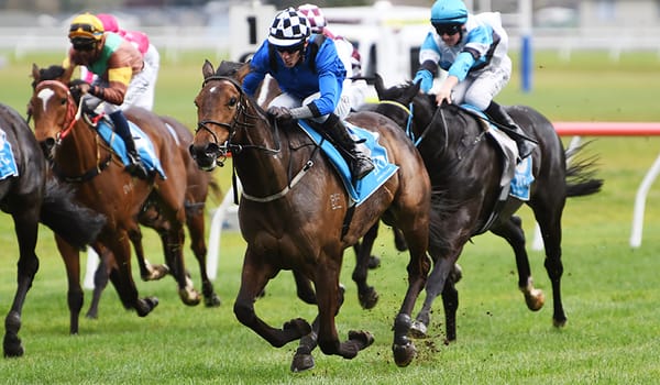 Eminent on the board