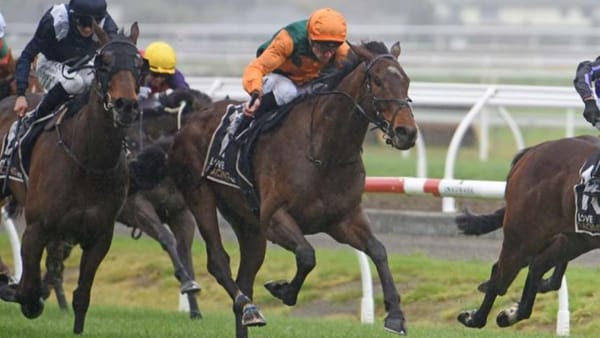 Frank The Tank adds to recent success for Thurlow