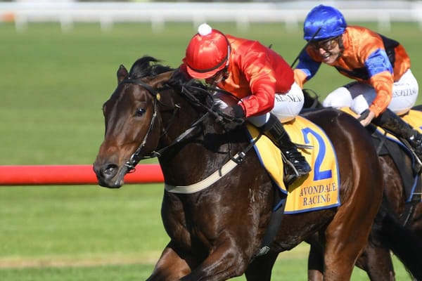 Geldof passes trial test