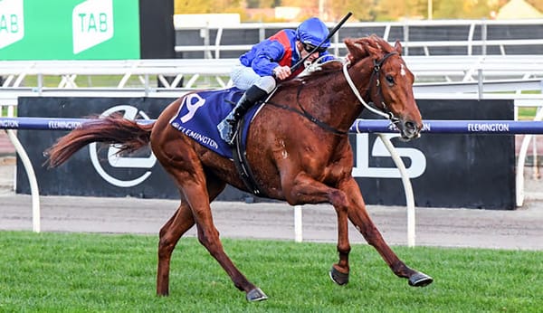 Sandown the Golden Path to Toorak?