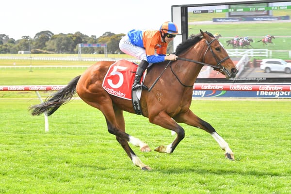 Strong Sandown victory for Grinzinger Belle