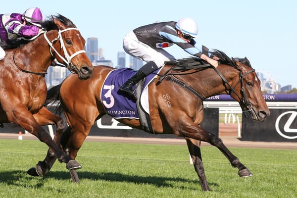 Sargent unleashes likely Oaks type