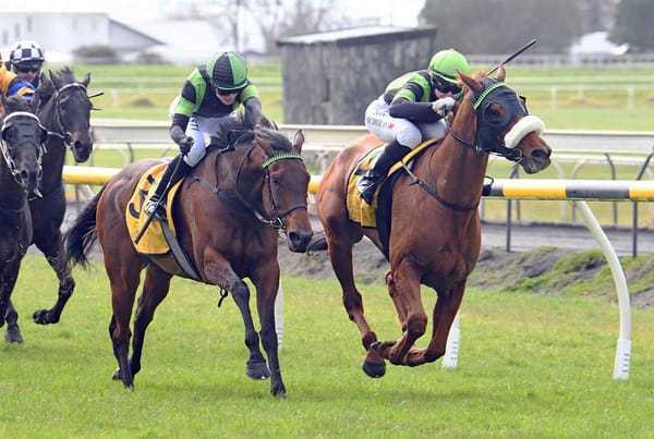 Trip to Taranaki a profitable one for Phelan
