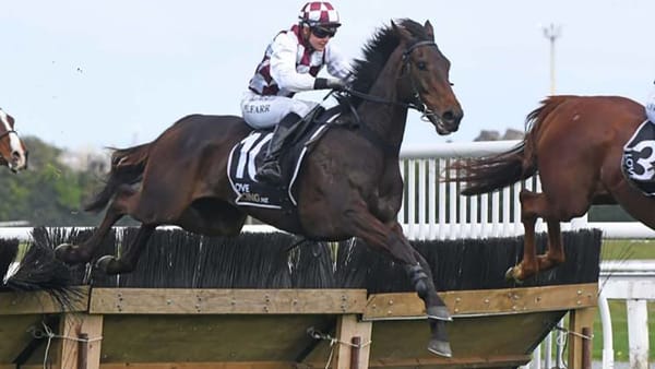 Memorable day at Te Rapa for Foote