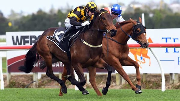 Luberon books her ticket to Riccarton