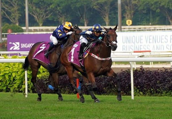 Lim's Kosciuszko wins another feature at Kranji
