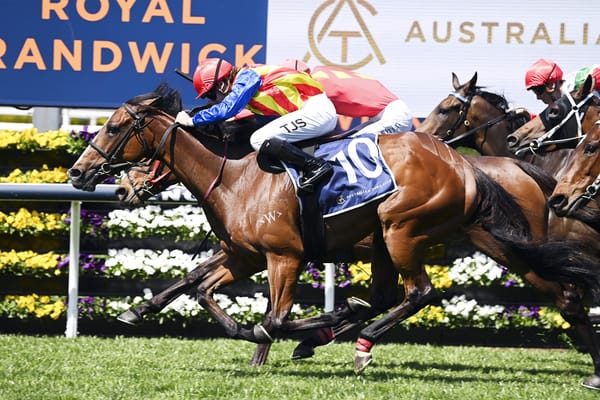 New Zealand-bred quinella in Randwick opener