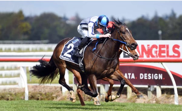 Lupo Solitario set for summer features