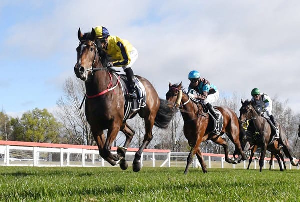 Molly Blooms at Taupo