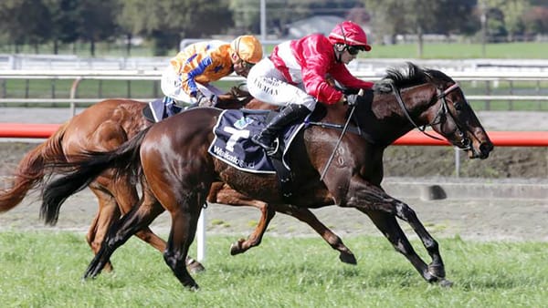 Cole looking forward to testing Oneira over further ground