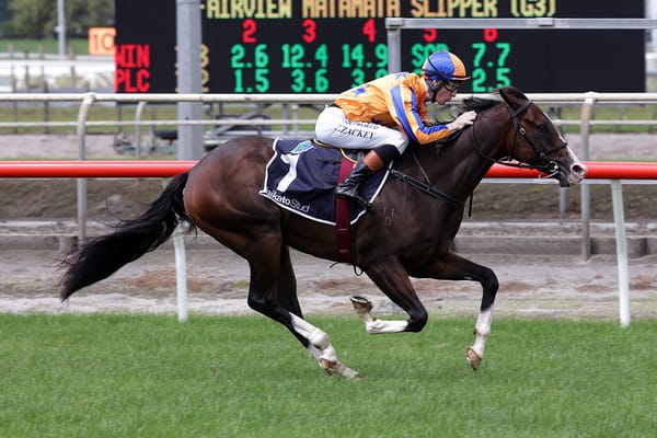 Tokyo Tycoon resuming at Hastings