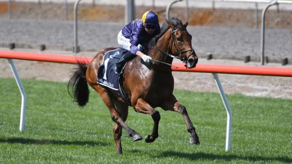 Plenty to love about Valentine