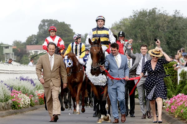 Turf and Data Advantage Continues to Prove NZB’s Ready to Run Success