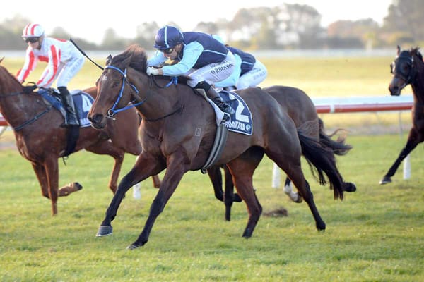 Warsaw Sold to Hong Kong