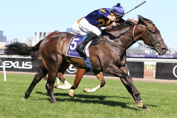 Guineas options for Wolfy