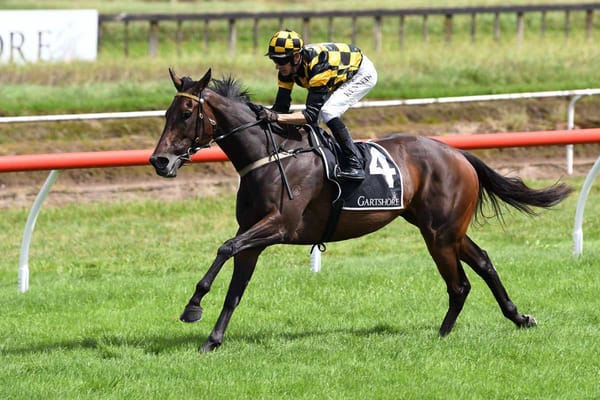 Aquacade's Exciting Spring Start in Matamata Cup