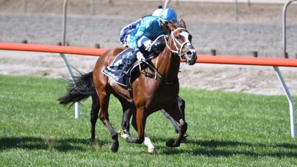 Beebeep to chase further black-type