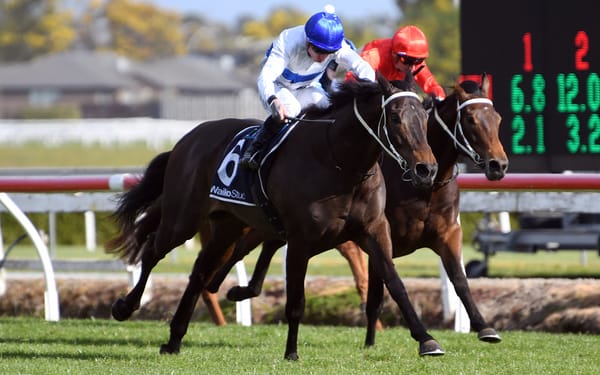 Marsh duo primed for Riccarton targets