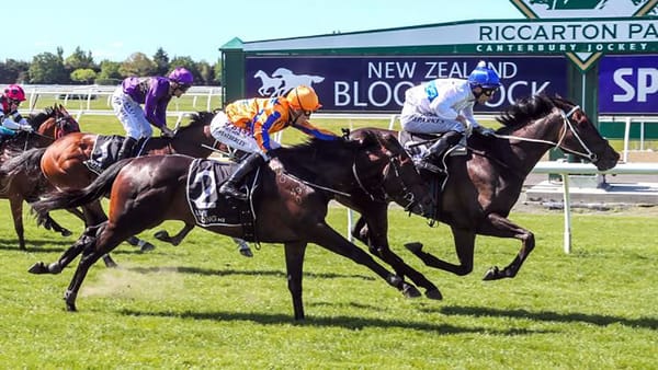 The Oaks Stud looking to add to Guineas legacy