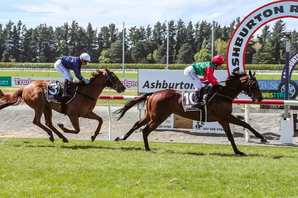 Rae’s Cup Week hopes feature at Ashburton