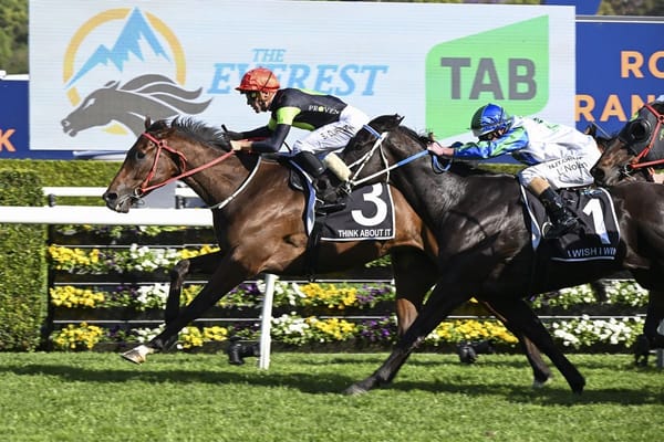 Trackside Media heads west to take slot in The Quokka