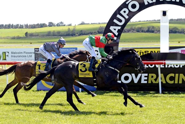 Geriatrix clears maidens