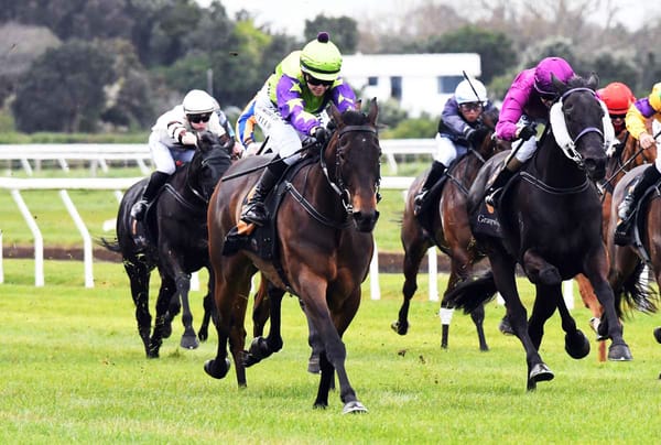 Reid ready to set classy mare loftier goals