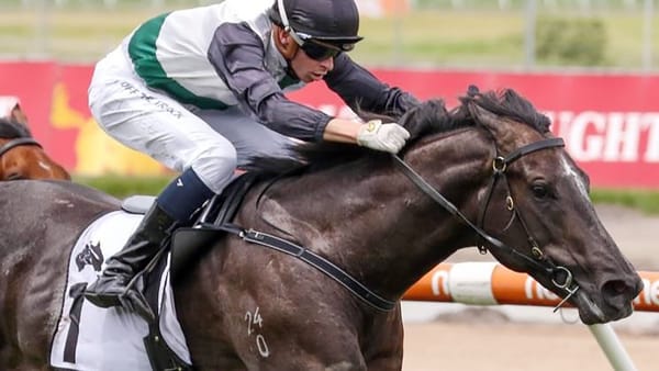 Hayes taking chance with Brose in G1