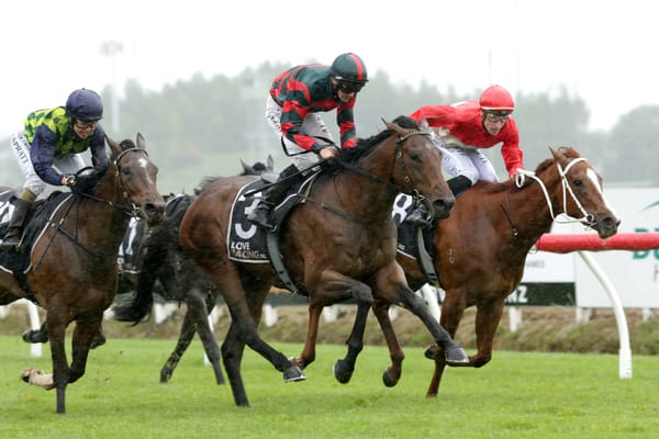 Wexford colt on song for Sarten