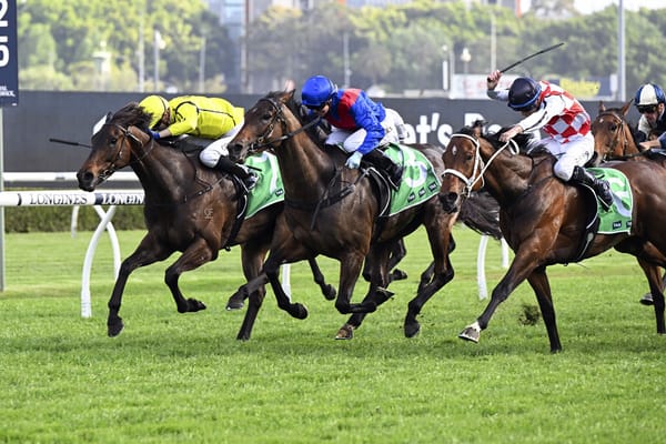 Palmetto plunders another rich prize