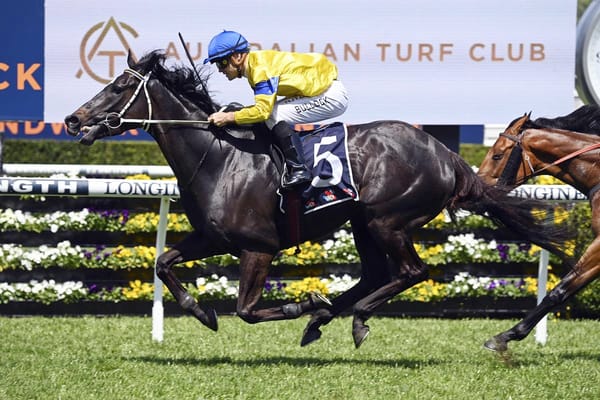 Clear-air sees the best of Peace Officer