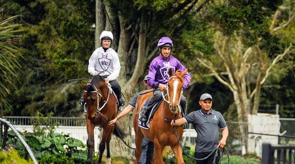 Breeze Up Footage Now Available to View Online