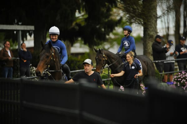 Impressive Performances Wrap up Day Two of Breeze Ups