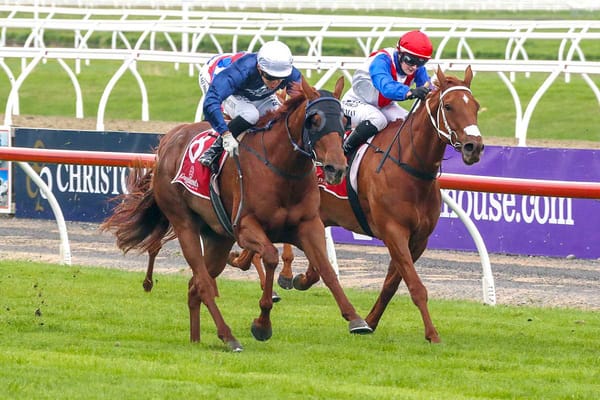 Trainers chasing champagne result in Riccarton features