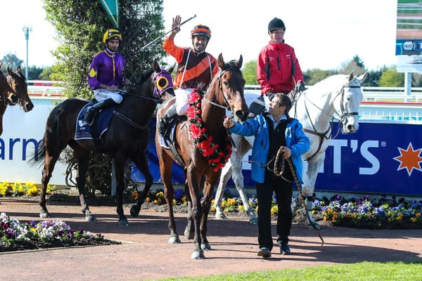 New Zealand Cup goal for Taramea Lad