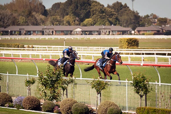 Perfect Conditions on Day One of Breeze Ups 