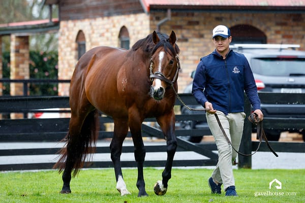 Windsor graduates on winning roll